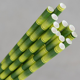 Paper Regular Straw - Bamboo Design  250Pk